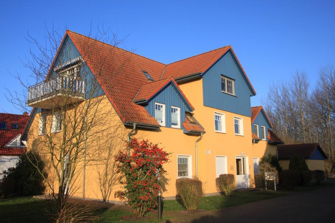 Apartament Haus Sonne Whg_3 Zingst Zewnętrze zdjęcie
